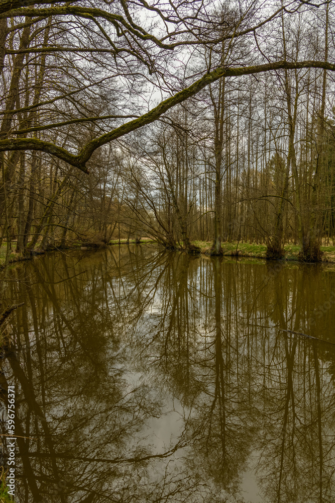 small river with calm survace in woods with reflection small river with calm survace in woods with reflection