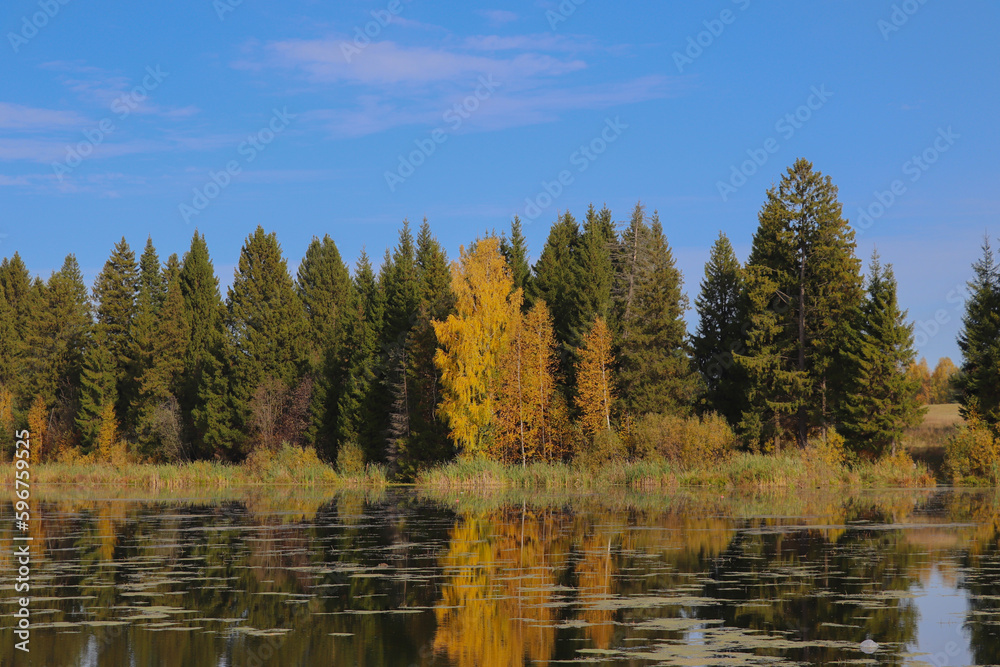 Beautiful pond on a sunny autumn day Beautiful pond on a sunny autumn day