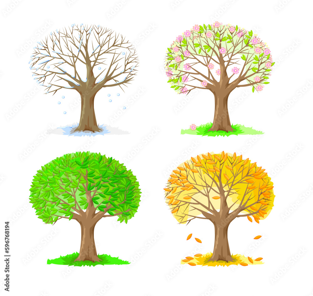 Set of drawings of trees in the four seasons. Stylized illustration of ...