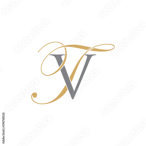 VT or TV Letters Logo Icon 010