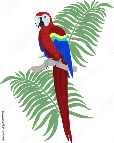 A brightly colored macaw with tropical leaves on its branch. Summer illustration in flat style