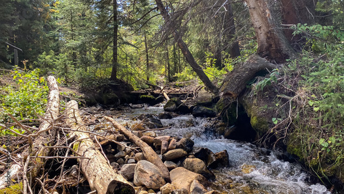 mountain creek through the forest in Breckenridge Colorado