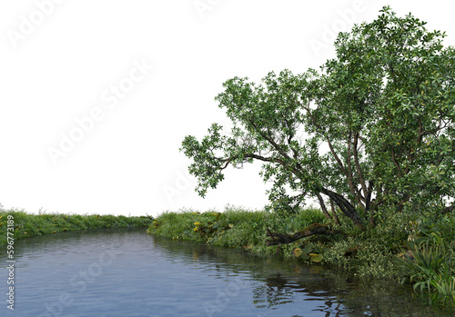 Stream and many plants on transparent background