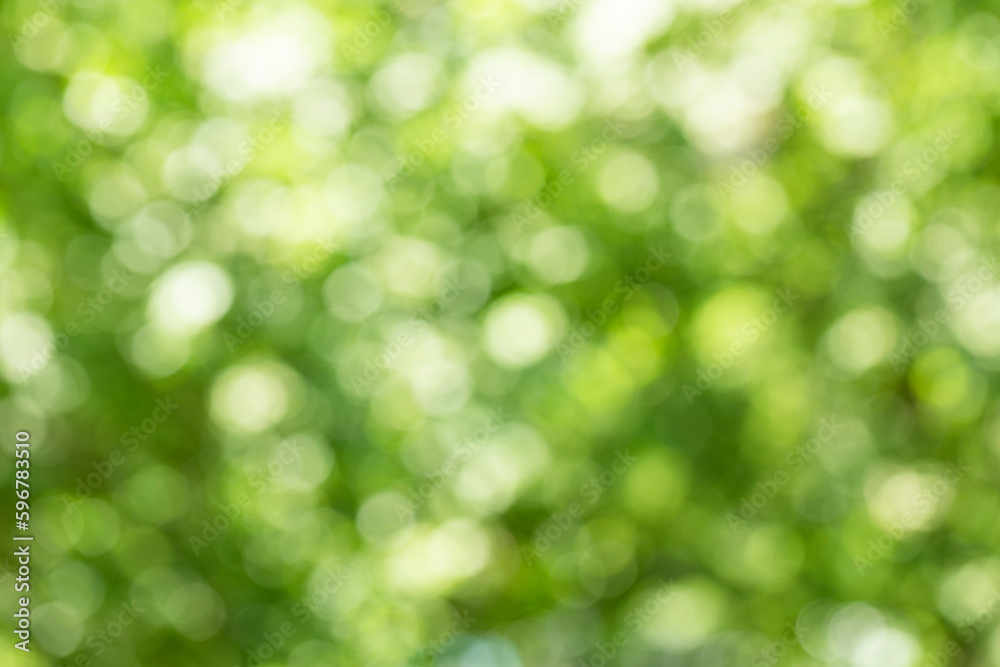Blur spring background with green colors of tree leaves, holiday wallpaper with beautiful bokeh from photography camera lens. Background of green leaves forming circles Blur spring background with green colors of tree leaves, holiday wallpaper with beautiful bokeh from photography camera lens. Background of green leaves forming circles