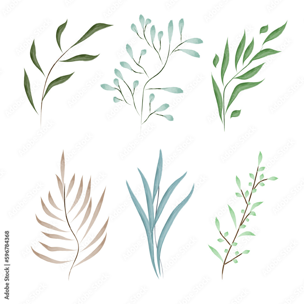 Collection of greenery forest herb plant leaves, spring flora leaves in a watercolor style. Vector botanical decorative illustration.