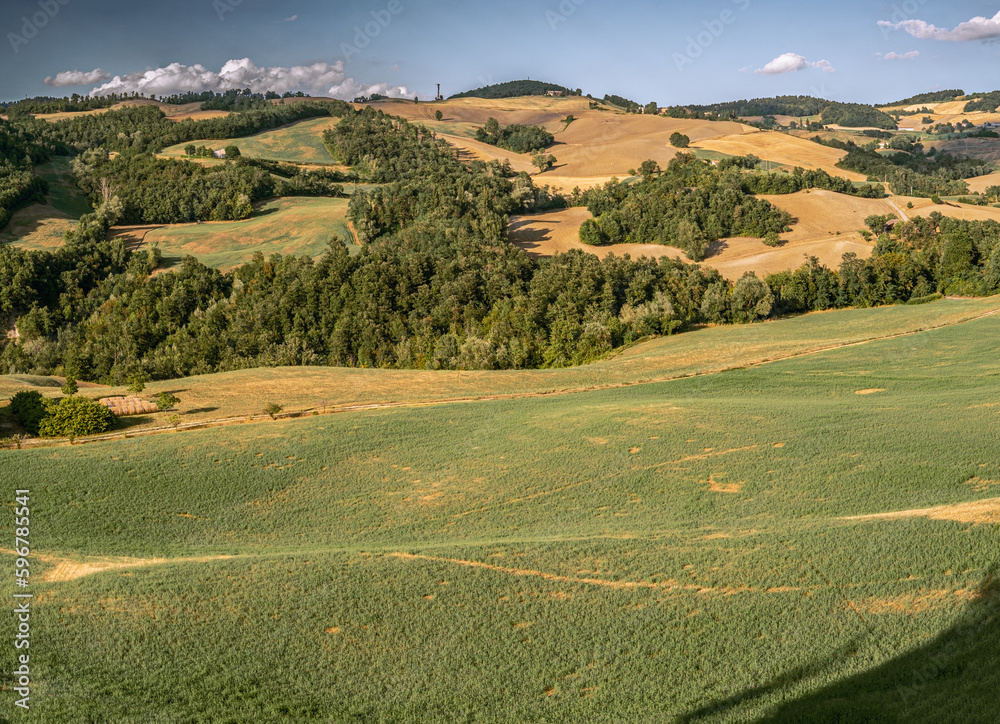 Cultivated land and woodland in Bologna hillside. Loiano, Bologna province, Emilia-Romagna, Italy
