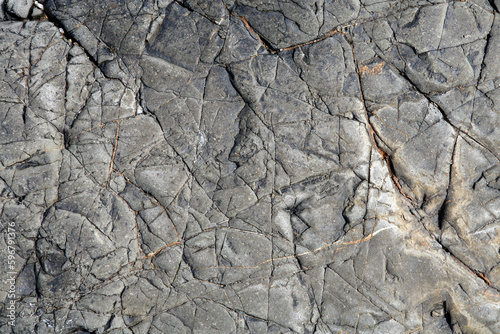 Shore rock detail - Holy Island - Northumberland - England - UK