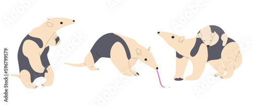 Tamandua cute 1 on a white background, vector illustration.