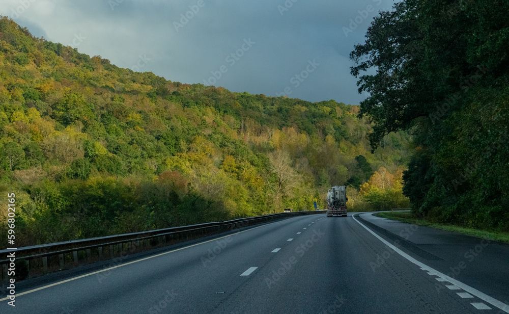 Obraz premium Nature Photography