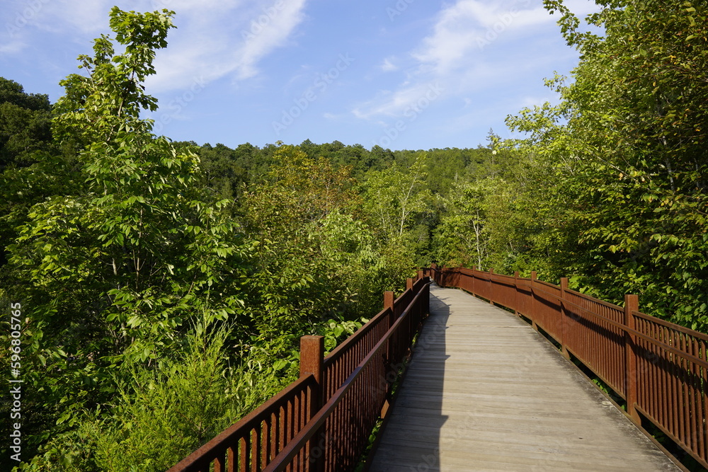 Southern illinois photography Southern illinois photography