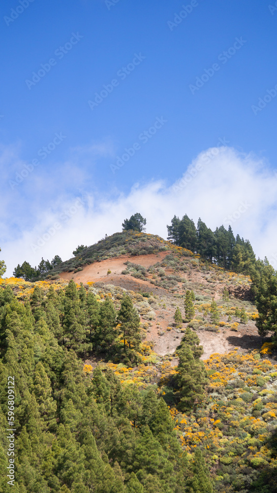 Landscape of a hill on a sunny day with the clouds in back of it