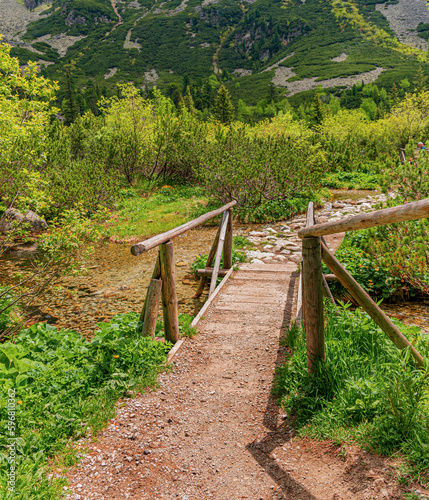 Wooden bridge over a mountain river in the forest. Tatras, Slovakia.
