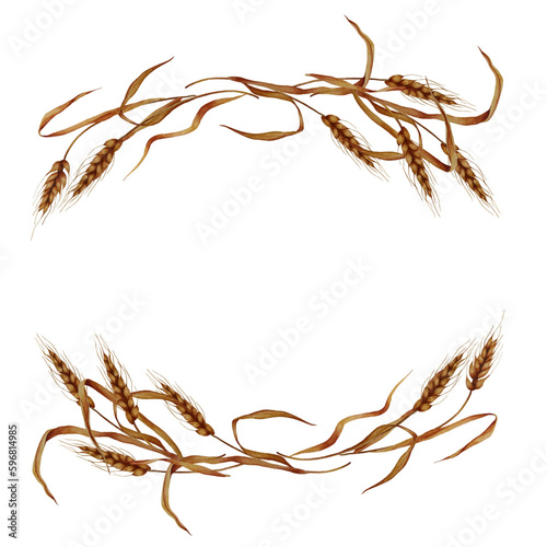 Watercolor wheat border isolated on white background. Floral background for invitation. Botanical frames.
