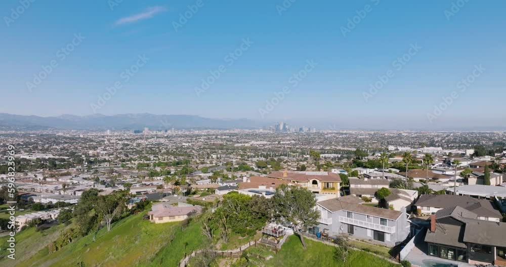Aerial drone between palm trees in Los Angeles. Downtown Los Angeles and Palm Trees. Aerial drone between palm trees in Los Angeles. Downtown Los Angeles and Palm Trees.