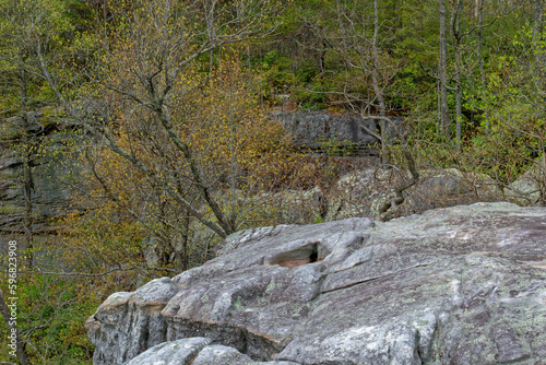 Rocky cliffs with trees