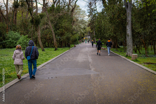 Wallpaper Mural Park walk Torontodigital.ca