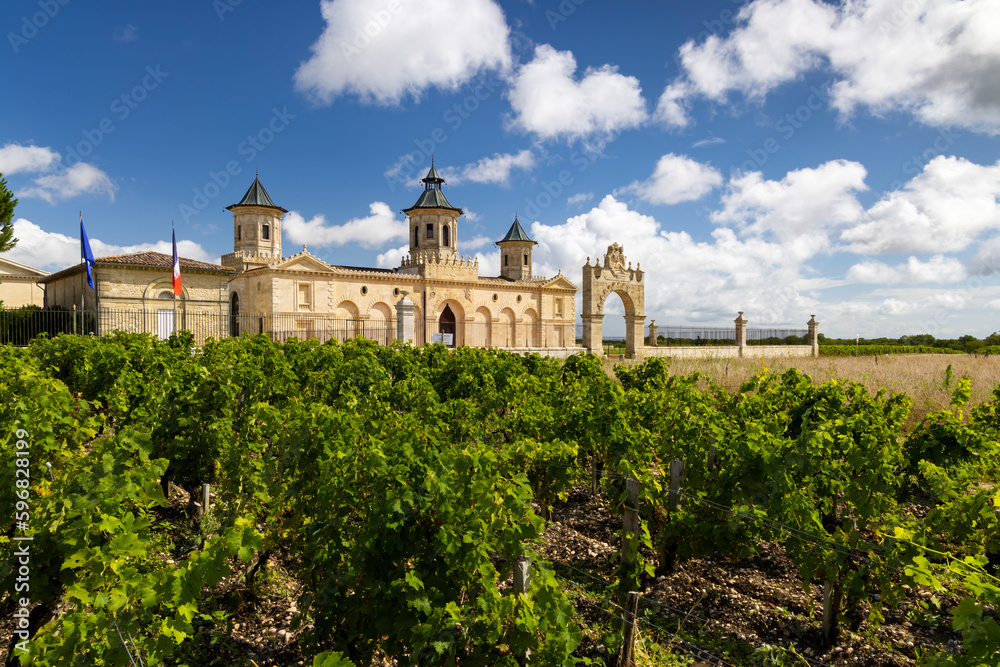 Vineyards with Chateau Cos d'Estournel, Bordeaux, Aquitaine, France