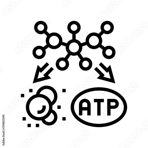catabolism biochemistry line icon vector illustration photo