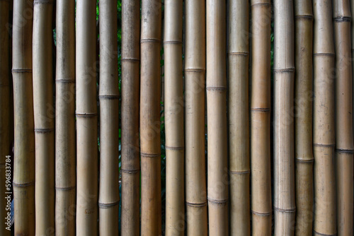 Lots of bamboo canes arranged next to each other in vertical lines