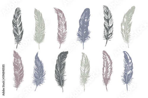 Hand drawn feather on white background   © Tatiana