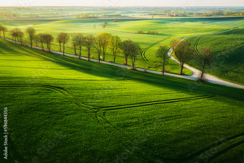 Aerial landscape of the green fields in northern Poland at spring time. photo