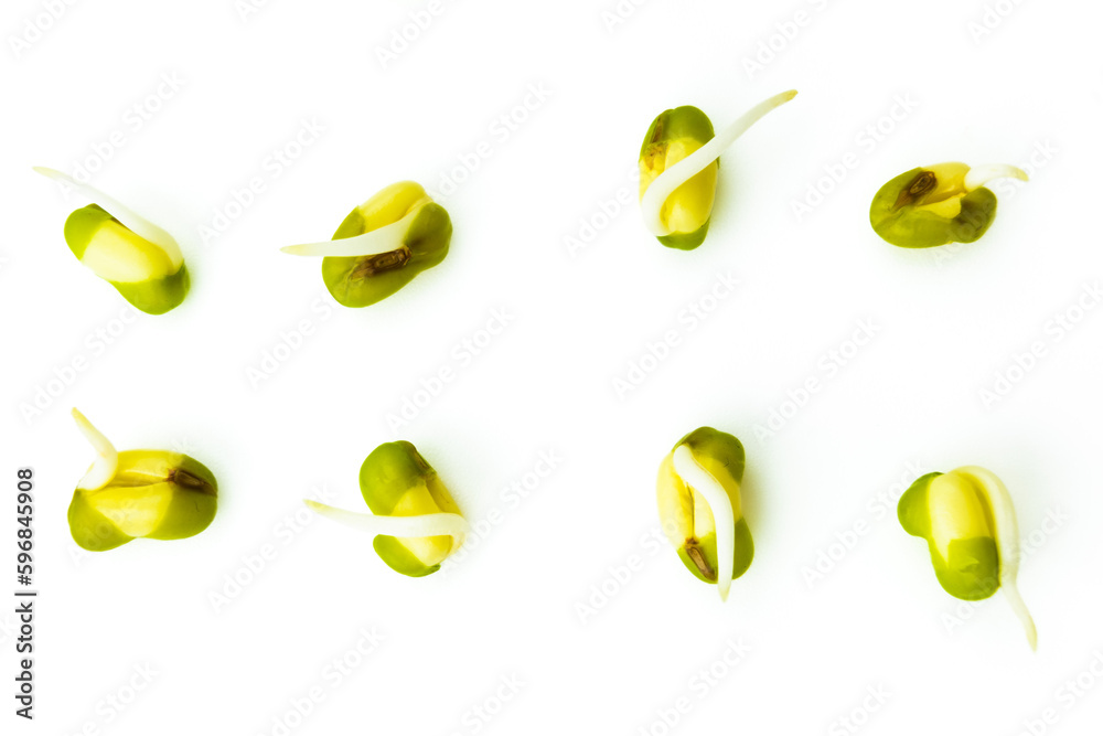 Mung beans with shoots isolated on white background. Green gram seeds