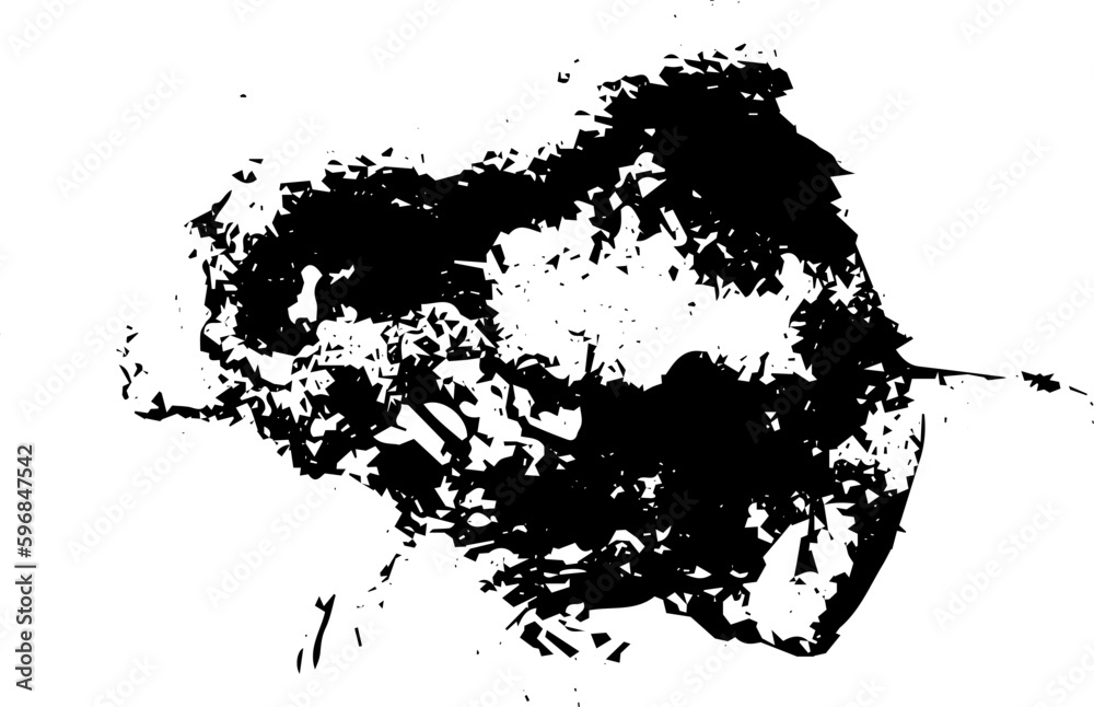 Obraz premium Rustic splash vector texture. Abstract background. Weathered surface and shape. Dirty and damaged backdrop. Vector graphic illustration with transparent white. EPS10.