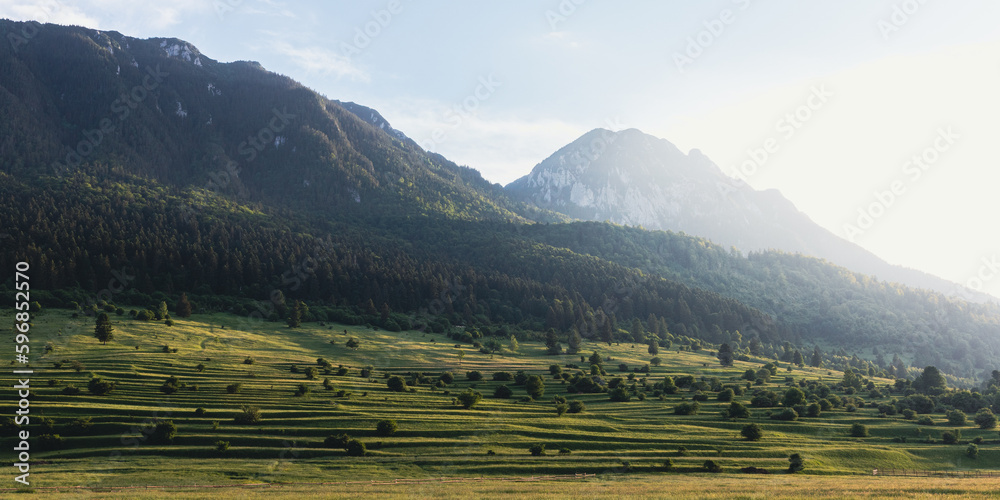 Sunlit, green landscape of the hills in Piatra Craiului Mountains, Zarnesti, Brasov, Transylvania