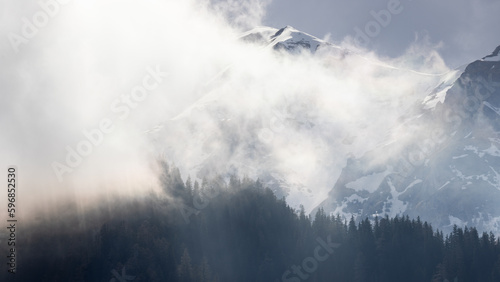 Golden fog in the snowy Bucegi mountains and forest  © Radu
