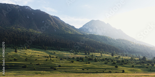 Sunlit, green landscape of the hills in Piatra Craiului Mountains, Zarnesti, Brasov, Transylvania
