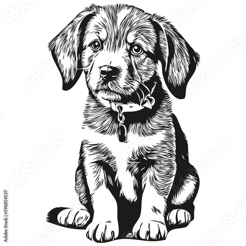 Cute hand drawn puppy, vector illustration black and white puppies