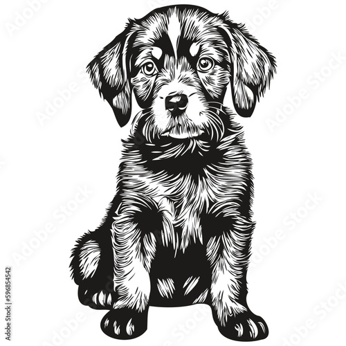 Cute hand drawn puppy, vector illustration black and white puppies