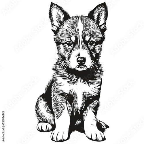 Vintage engrave isolated puppy illustration cut ink sketch puppies