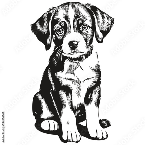 Vintage engrave isolated puppy illustration cut ink sketch puppies