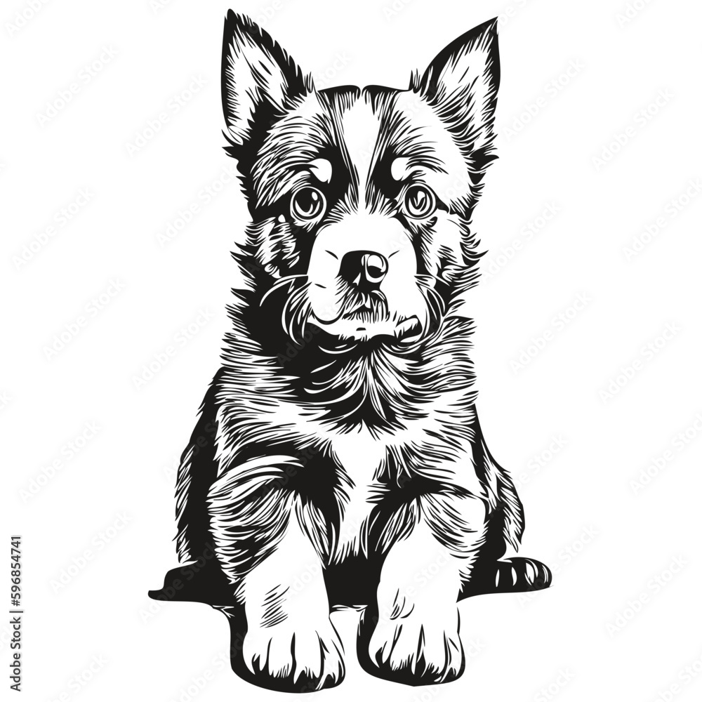 puppy sketchy, graphic portrait of a puppy on a white background, puppies