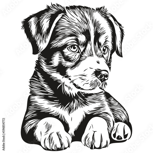 puppy logo, black and white illustration hand drawing puppies
