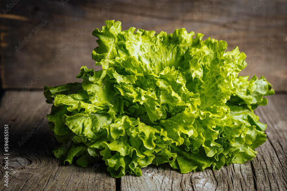 Bunch of green lettuce on rustic background. Fresh and tasty green salad. Bunch of green lettuce on rustic background. Fresh and tasty green salad.