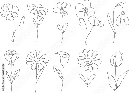 One line continuous flowers set  single line drawing art  flowers art  botanical flowers isolated  simple art design  abstract line  vector