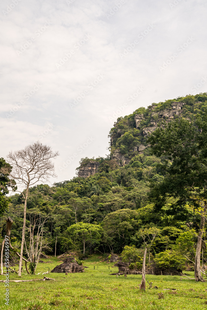 Jungle area in the Colombian Amazon