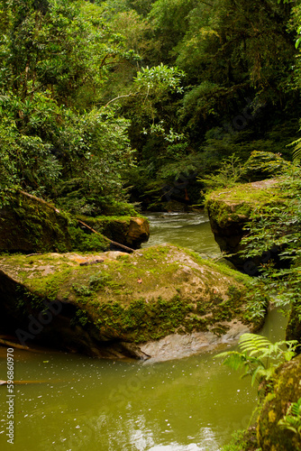 Rivers and waterfalls between stones, in tropical forests.
