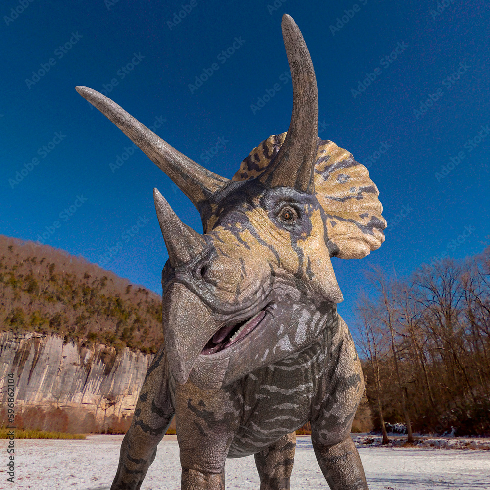 Fototapeta premium id portrait of a triceratops in winter times