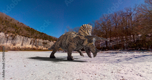 Fototapeta Naklejka Na Ścianę i Meble -  triceratops is walking alone in winter times