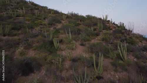 San carlos, Sonora. vista al cerro del Tetakawi al atardecer photo