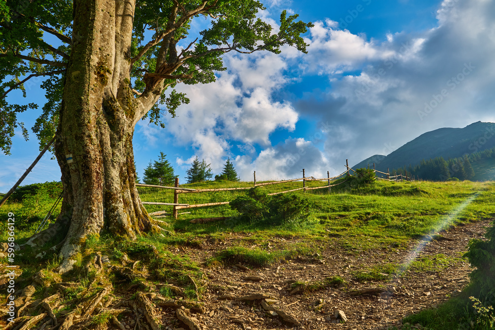 Naklejka premium Summer landscape in mountains and the blue sky