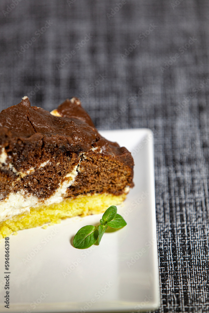 Delicious homemade dark chocolate cake on a plate with mint