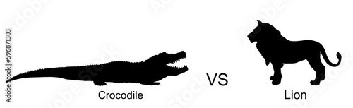 Crocodile against lion vector silhouette illustration isolated on white. Survivor watering place battle, powerful reptile vs big cat animal king. Under water predator carnivore lurking prey feline.