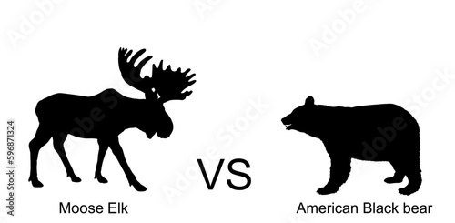 Moose against bear vector silhouette illustration isolated on white background. Battle for life and food against grizzly bear and deer elk buck. Powerful deer with huge antlers vs predator in forest.