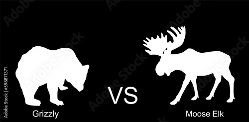 Moose against bear vector silhouette illustration isolated on black background. Battle for life and food against grizzly bear and deer elk buck. Powerful deer with huge antlers vs predator in forest.