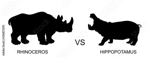 Rhinoceros male against hippopotamus vector illustration isolated on white. African animal poacher alert. Safari attraction. Strong heavy opponent battle on watering place rhino vs hippo angry beast.