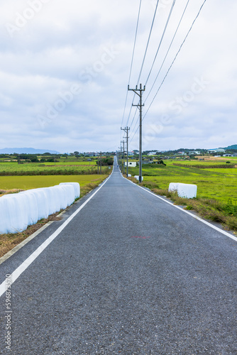 沖縄県 小浜島・シュガーロード 